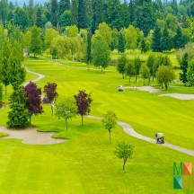 Tranh dán tường Hàn Quốc 3d khổ lớn ở Hà Nội NA - 450